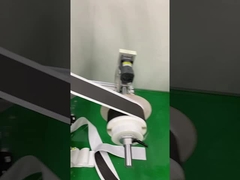 Умирает отрезанная клейкая лента